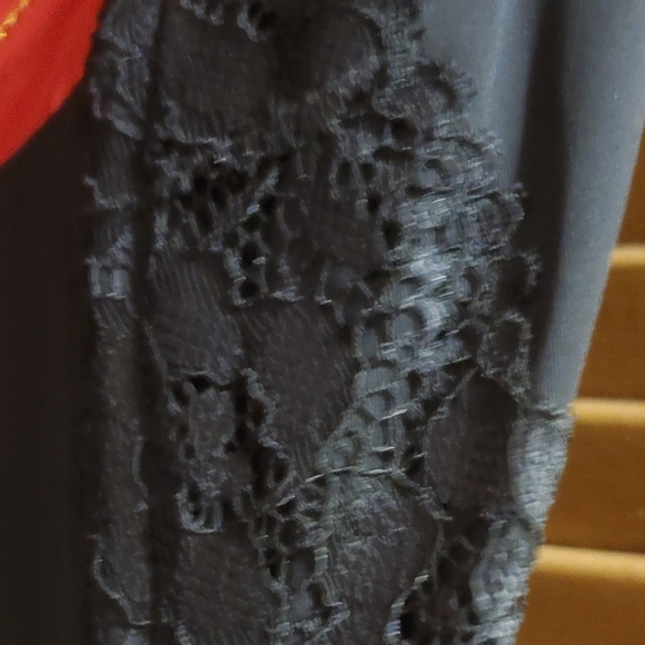 Alluring Lasenza Bustier - Picture 6 of 6